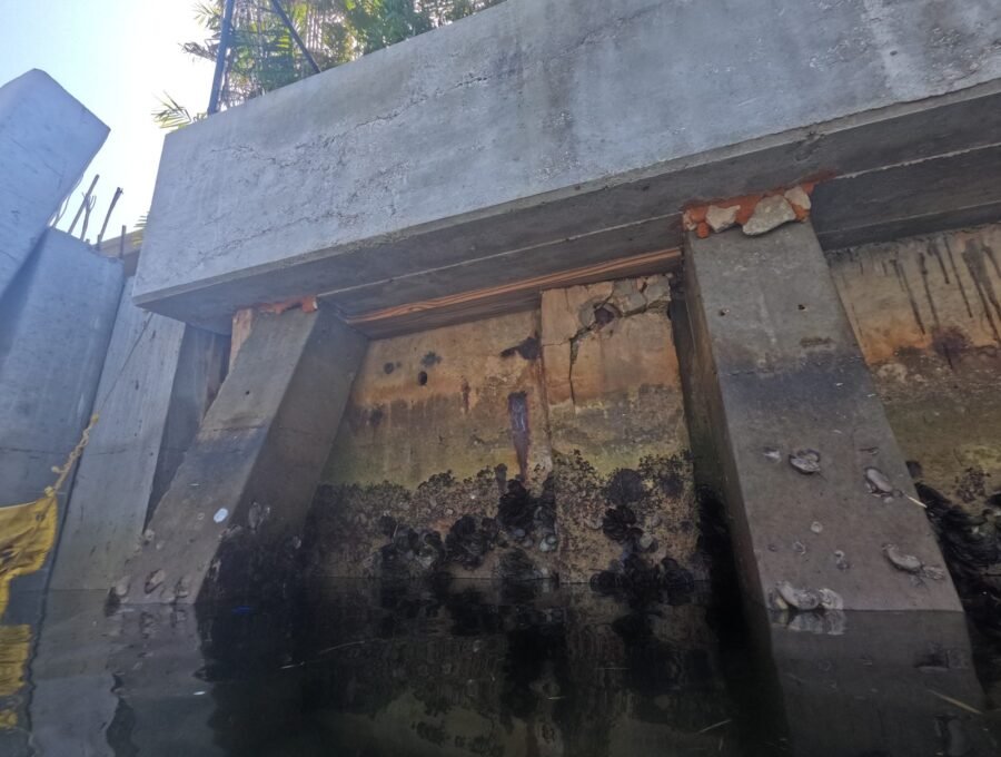Bulkhead vs. Seawall: Understanding the Difference