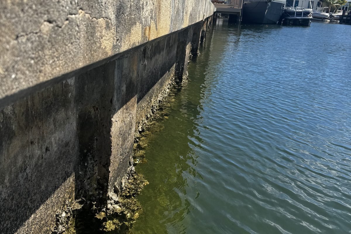 Choosing a Seawall Contractor in Palm Beach County