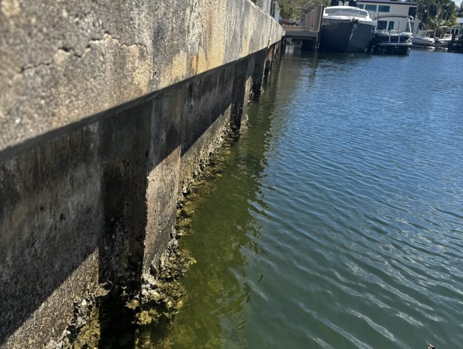 Choosing a Seawall Contractor in Palm Beach County