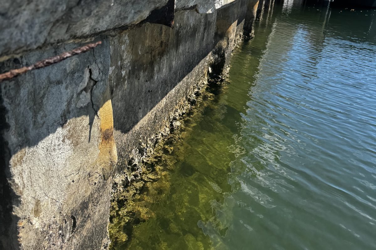 Seawall Drainage & Hydrostatic Pressure: Why It Matters