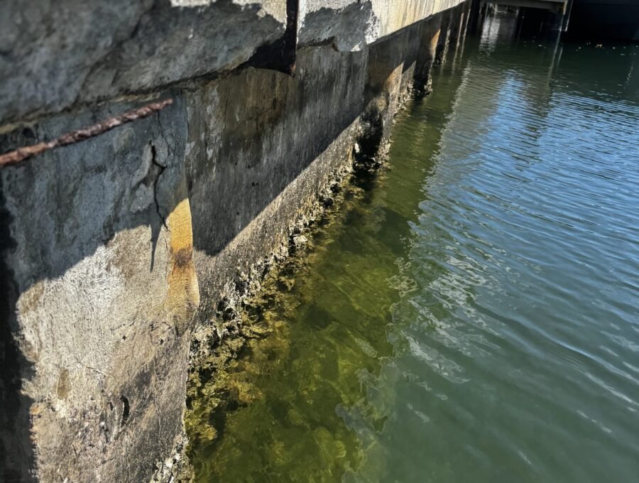 Seawall Drainage & Hydrostatic Pressure: Why It Matters