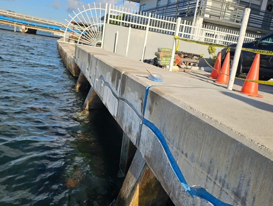 Seawall Panel Repair vs. Replacement Guide