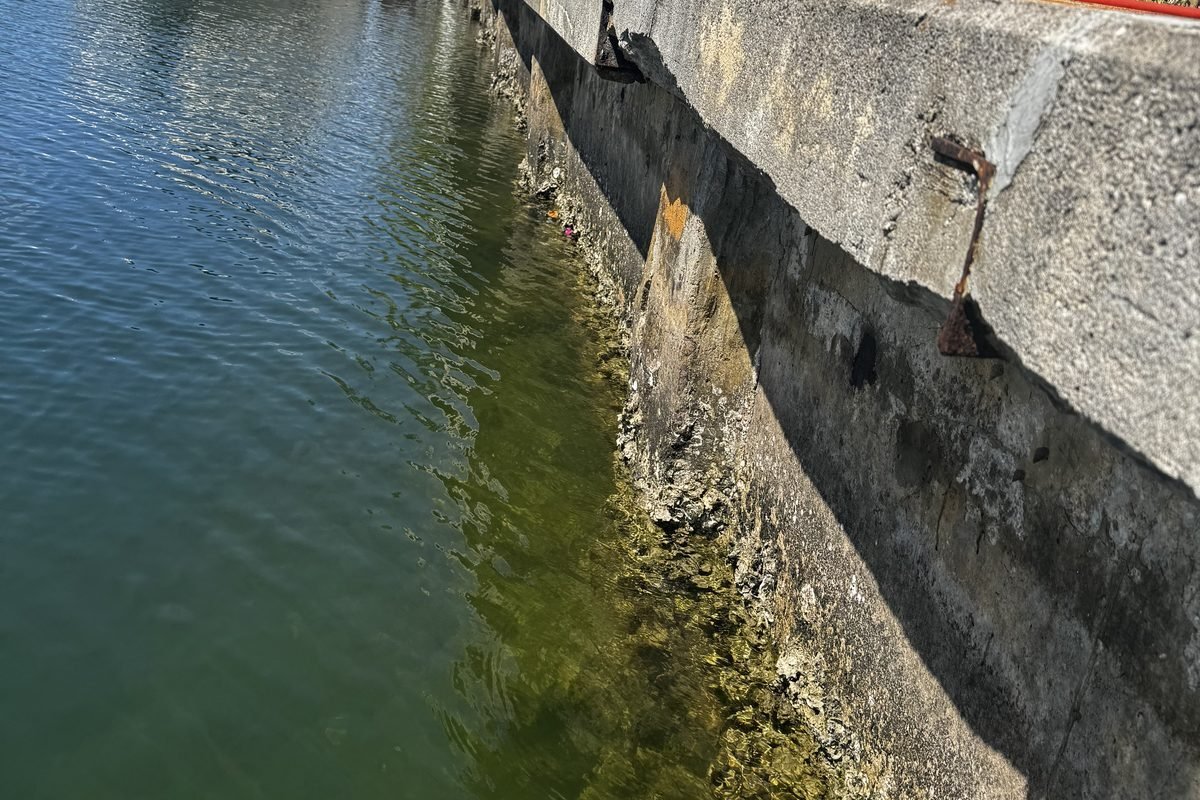 Why Seawalls Fail at the Joints First (Not the Middle)