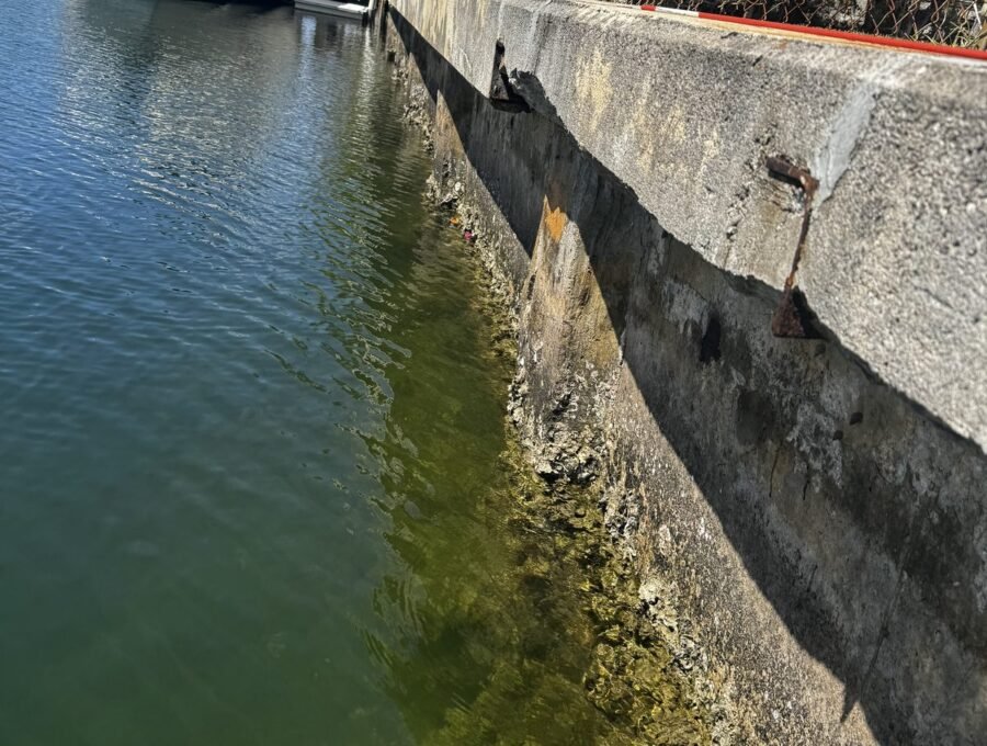 Why Seawalls Fail at the Joints First (Not the Middle)
