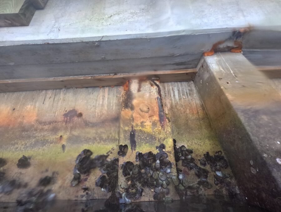 Bulkhead Contractors in Miami-Dade: Permits & Methods