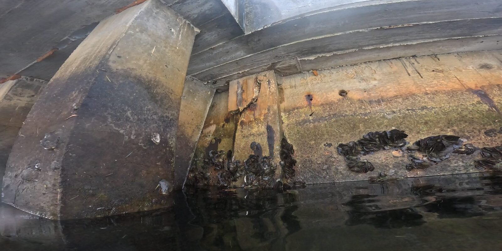 What a Geotechnical Report Tells You Before Seawall Work