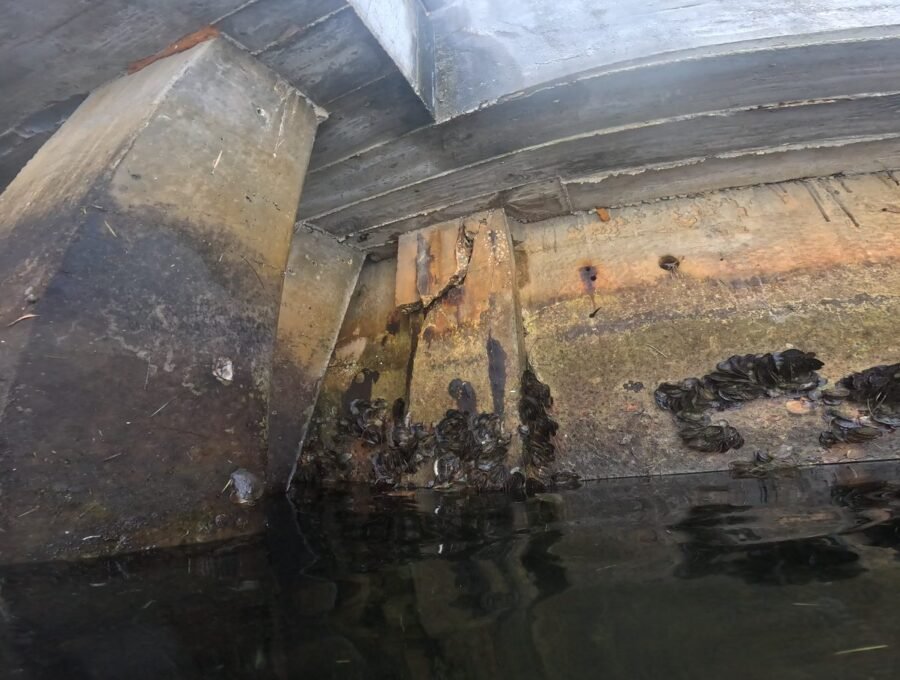 What a Geotechnical Report Tells You Before Seawall Work