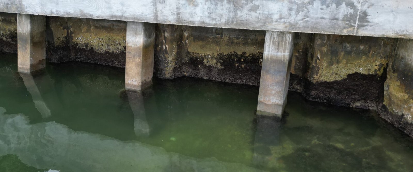 Marine Concrete Cover Requirements for Seawalls