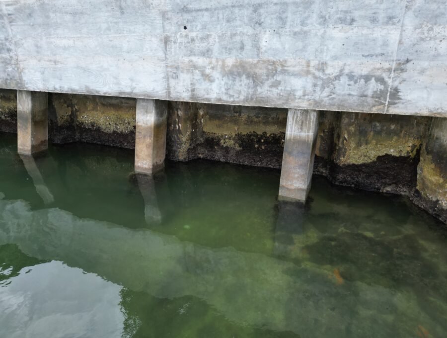 Marine Concrete Cover Requirements for Seawalls