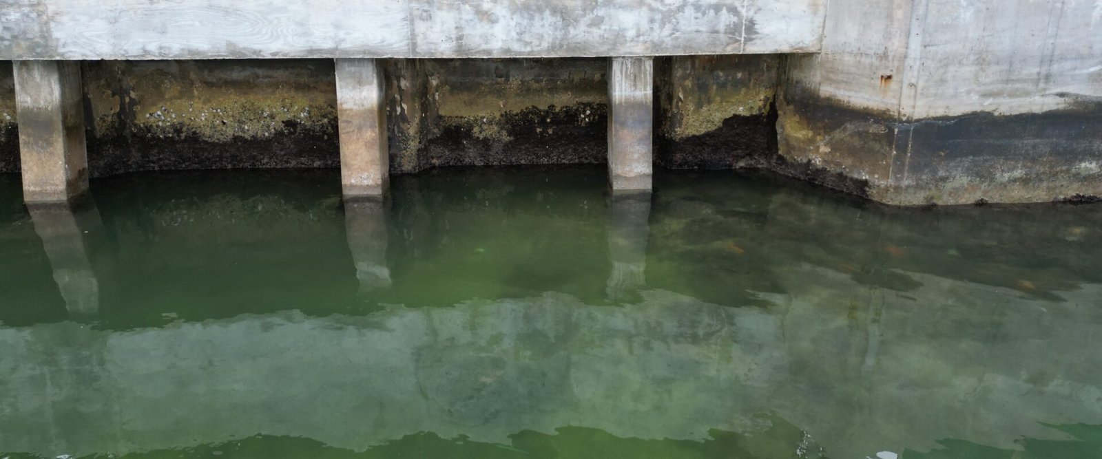 What an Owner’s Representative Does on a Seawall Project