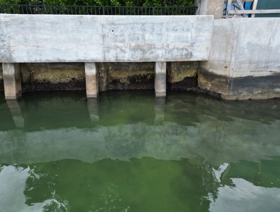 What an Owner’s Representative Does on a Seawall Project