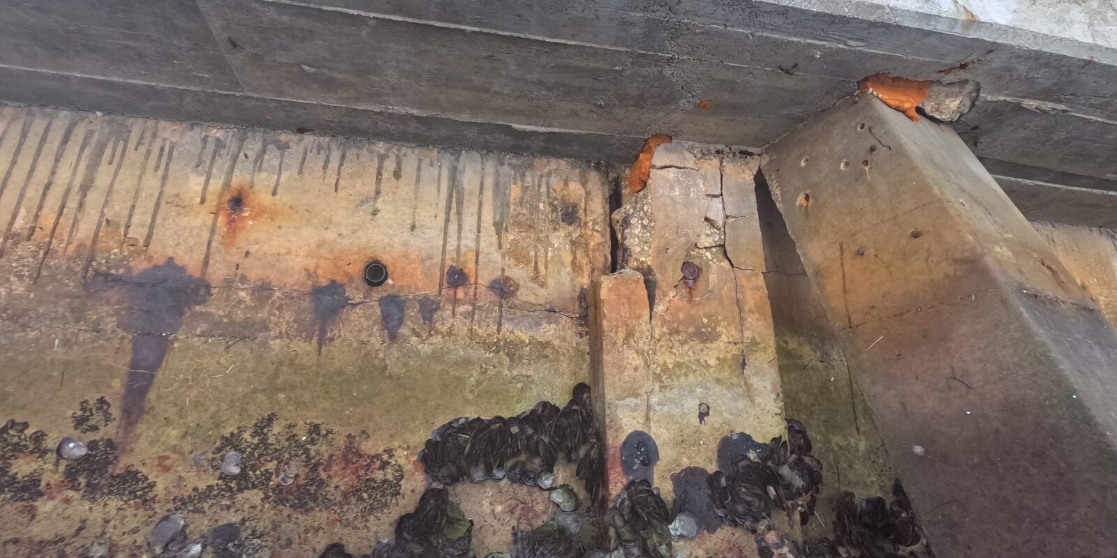 Seawall Cap Replacement Cost, Materials & Timeline