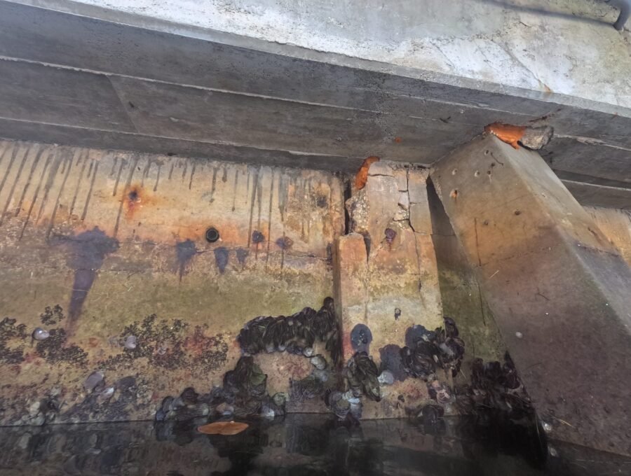 Seawall Cap Replacement Cost, Materials & Timeline