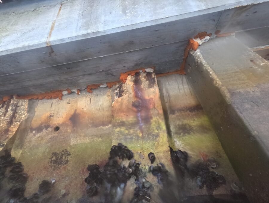 Why Your Seawall Contractor Needs a Structural Engineer