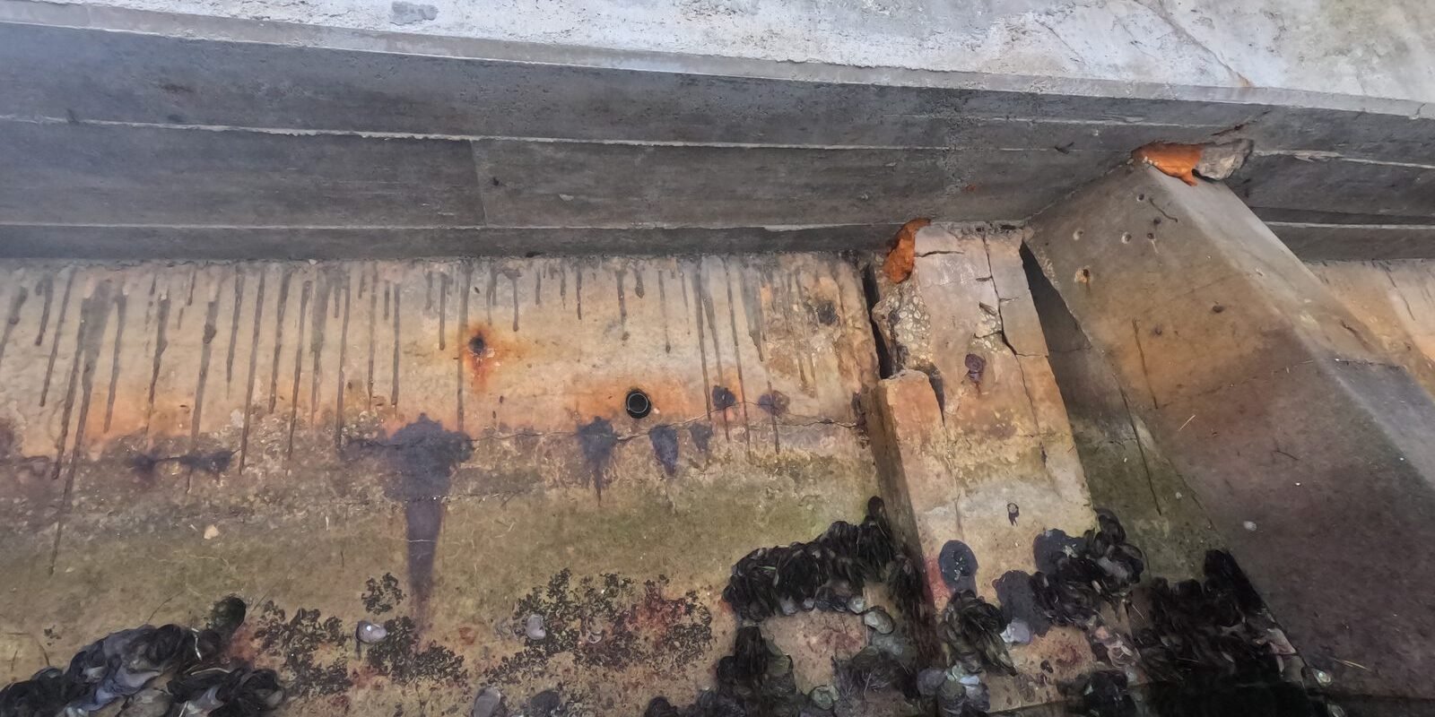 What Happens During a Seawall Inspection After a Hurricane