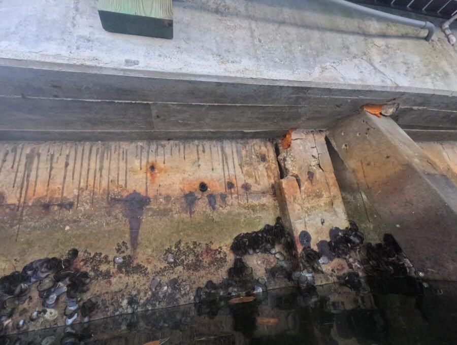 What Happens During a Seawall Inspection After a Hurricane