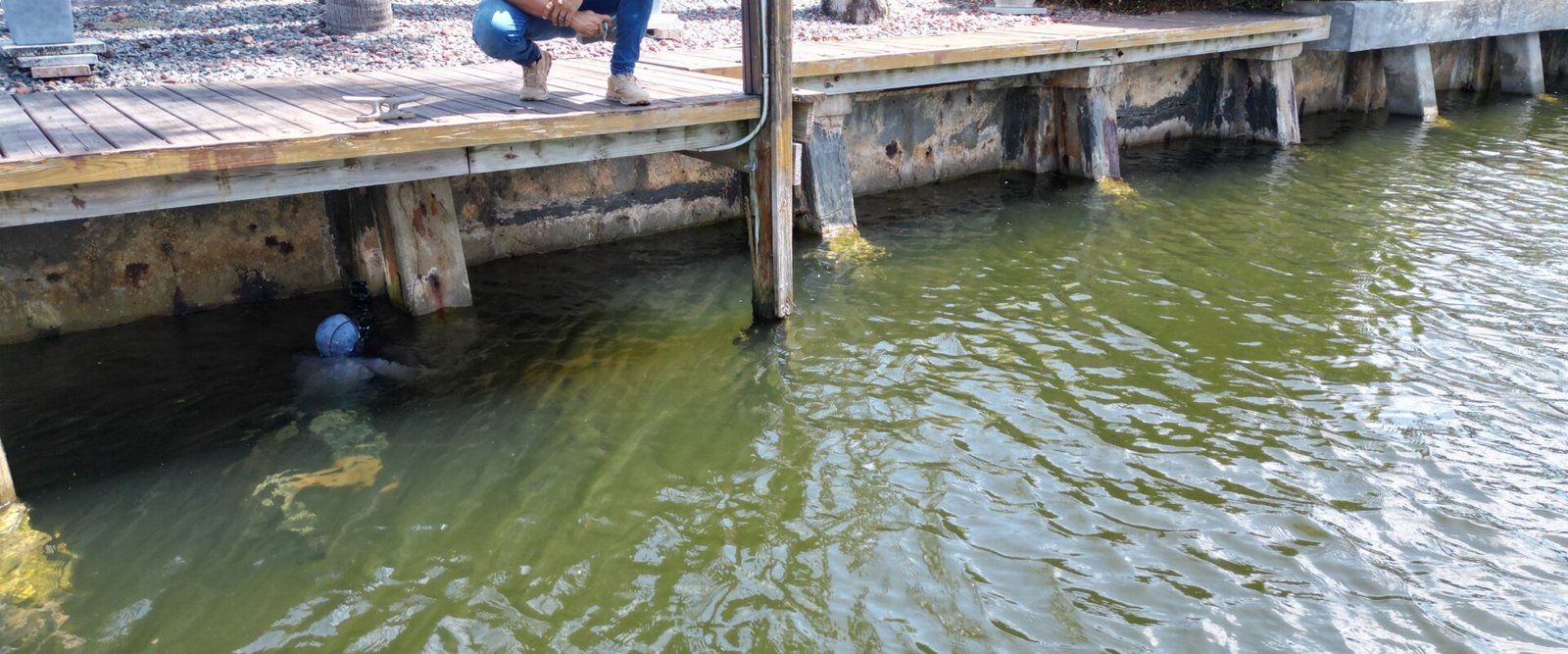 Seawall Inspection Fort Lauderdale: Intracoastal Guide