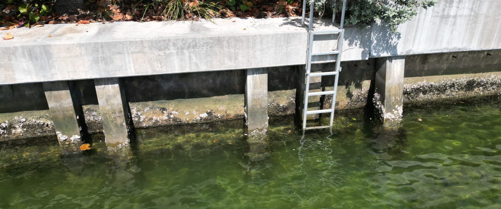 Seawall Inspection Miami Beach: What Owners Should Know