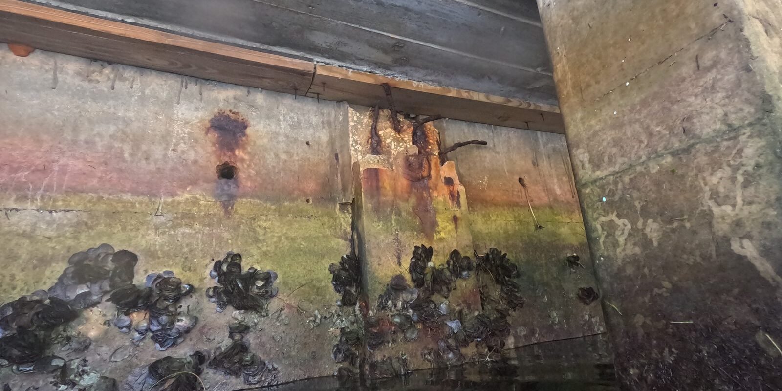 Seawall Repair Contractor Red Flags: What to Avoid
