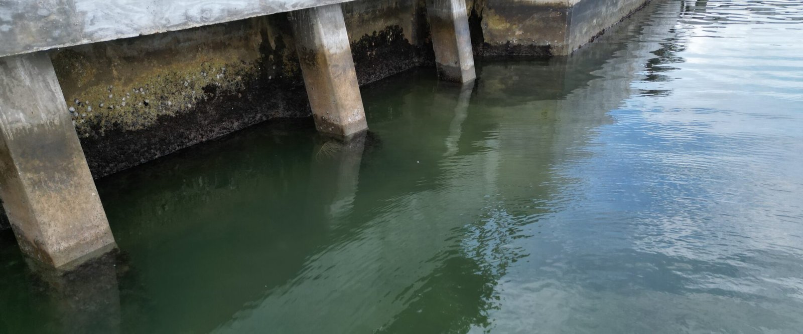 Seawall Repair Scope of Work: How to Compare Bids Fairly