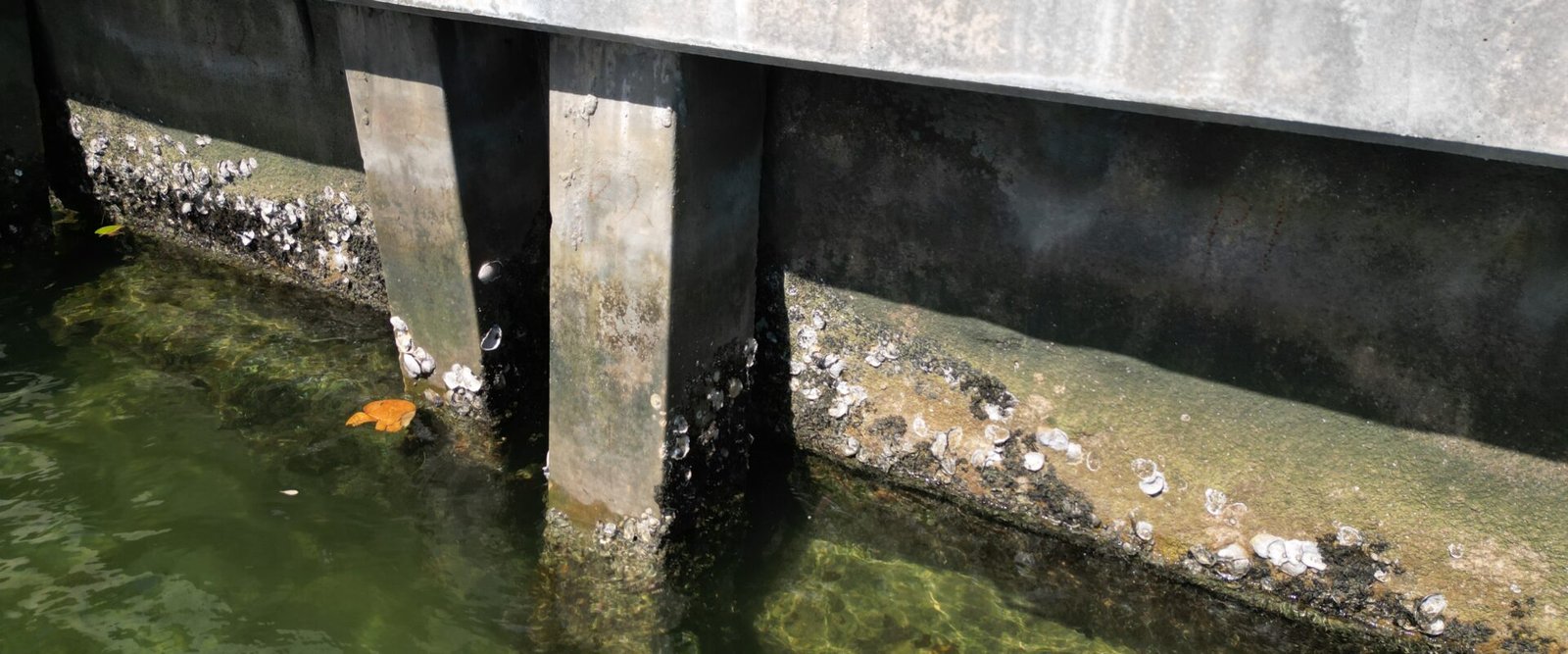 Sheet Pile vs. Panel-and-Pile Seawalls: How Each Fails