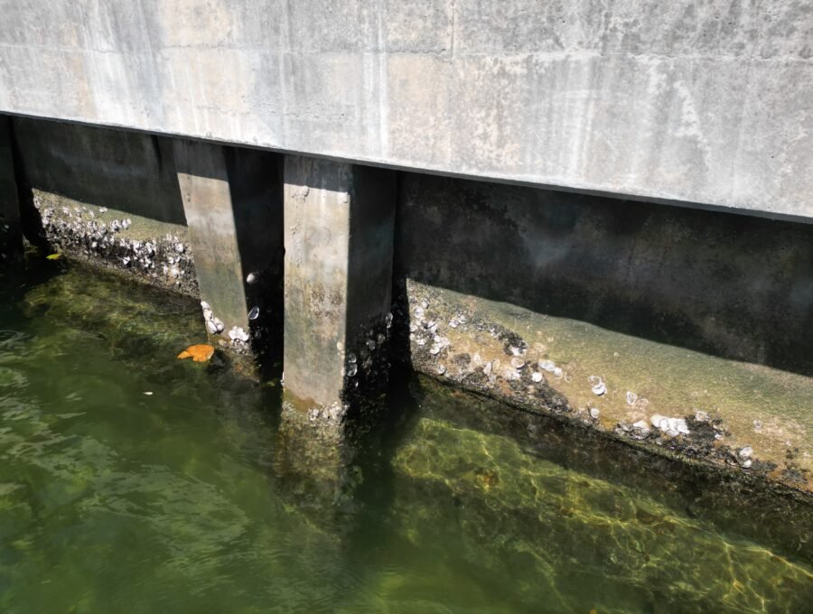 Sheet Pile vs. Panel-and-Pile Seawalls: How Each Fails
