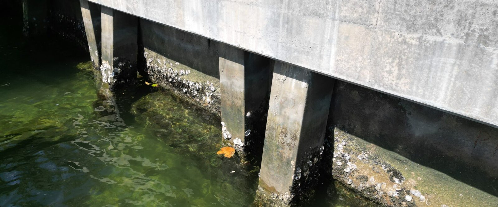 How to Spot a Failing Seawall From Your Dock in 10 Min