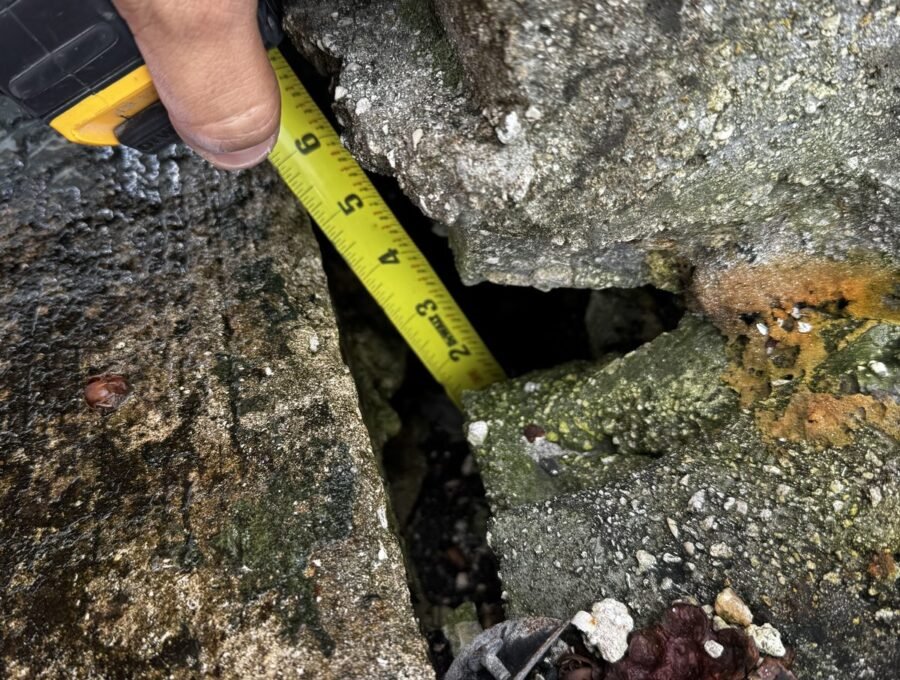 What Sunny Isles Beach Condo Boards Miss on Seawalls