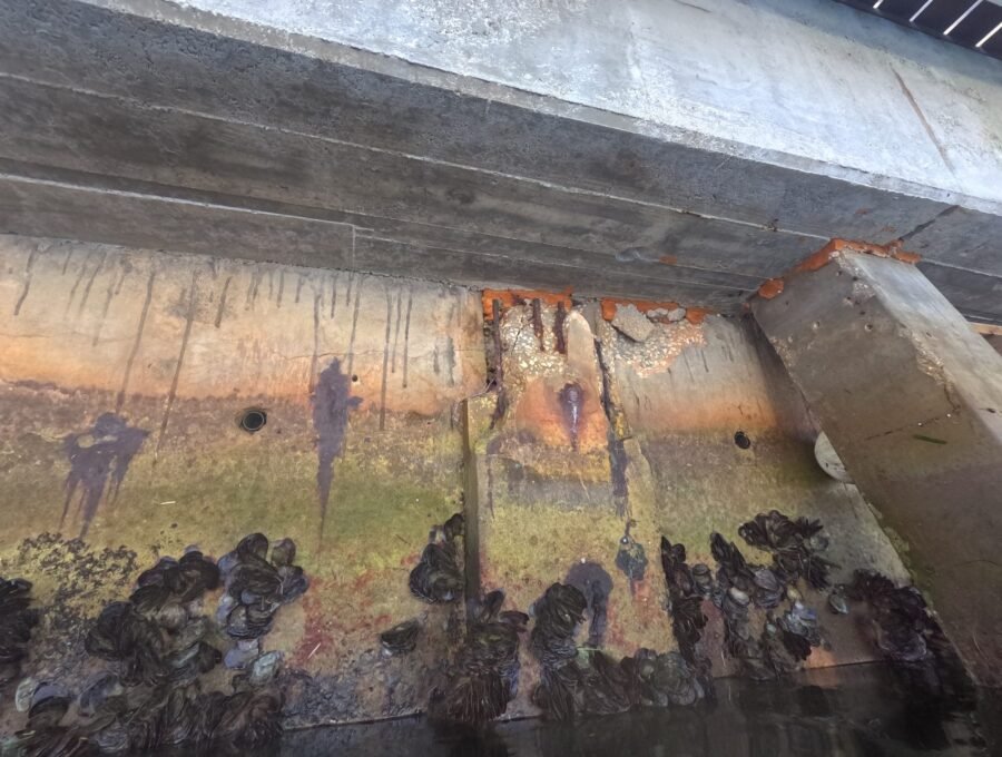 How to Vet a Seawall Contractor in Miami: Checklist