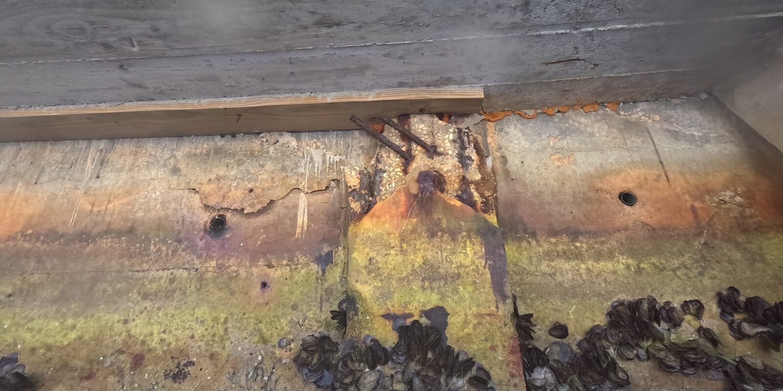 Who Represents the Board on a Seawall Project?