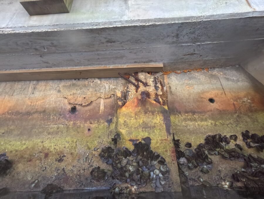 Who Represents the Board on a Seawall Project?