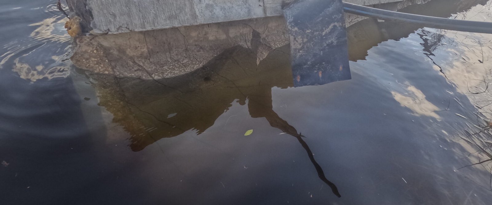Why Seawall Repairs Fail Within Five Years