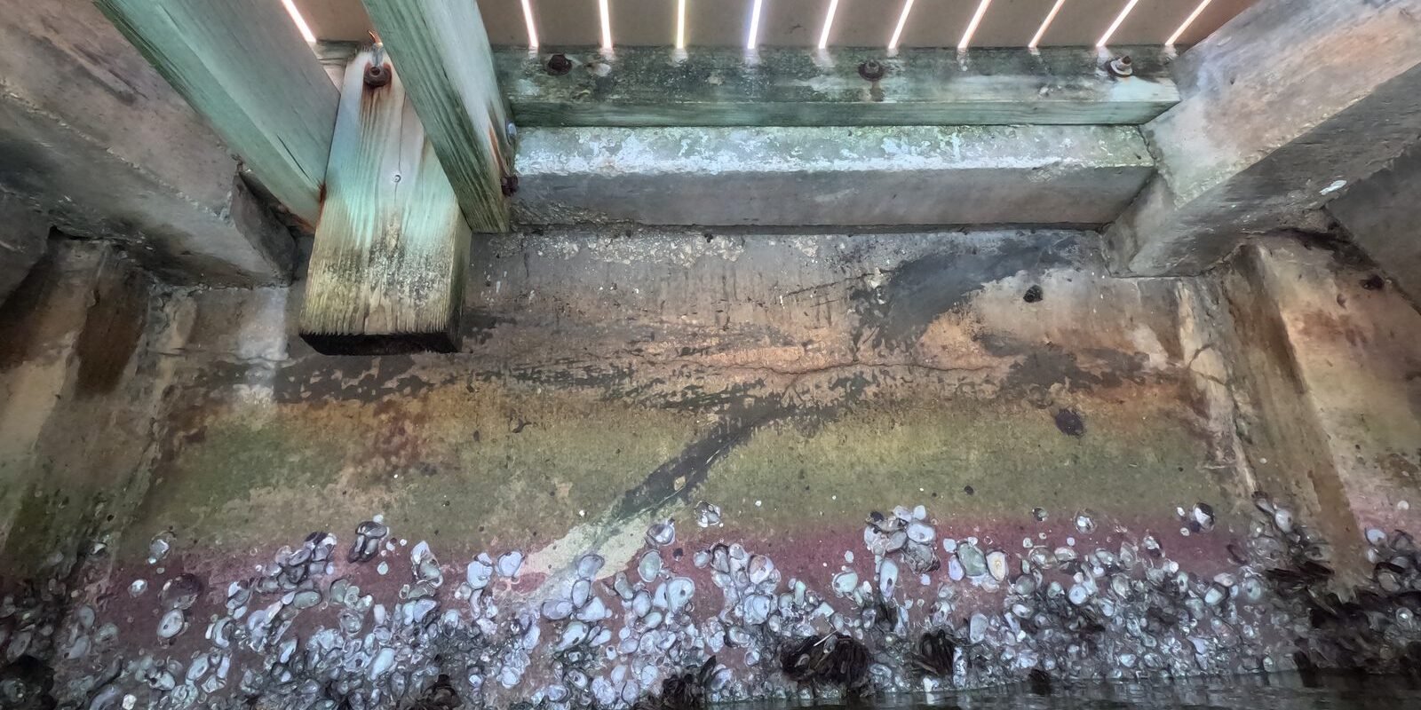Can Your Seawall Support a Boat Lift Installation?