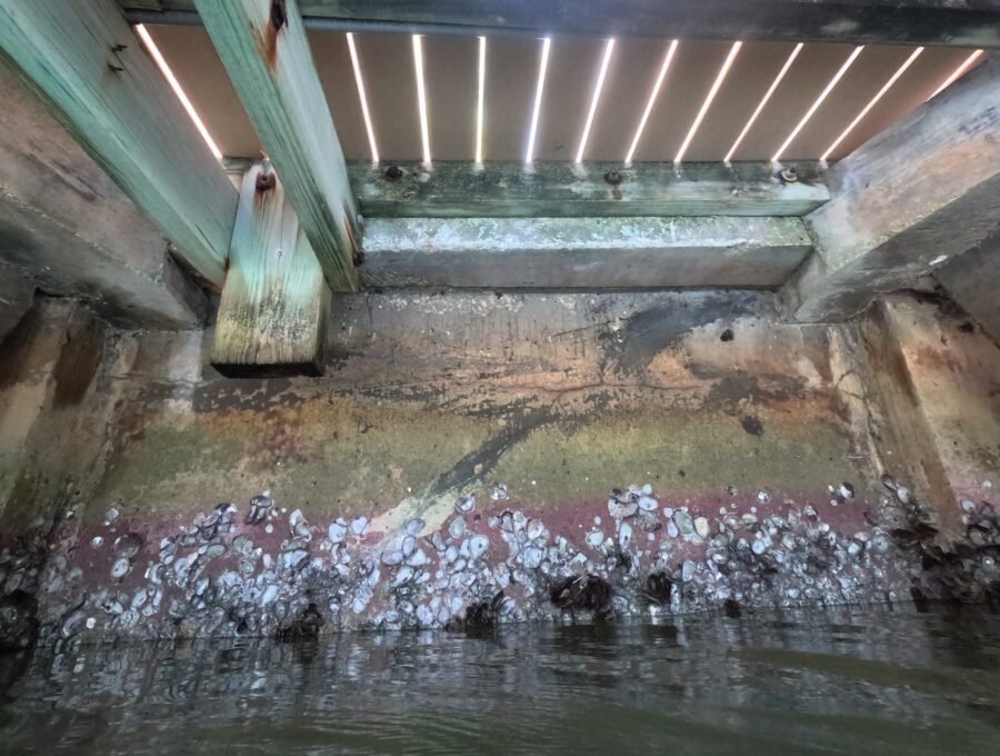 Can Your Seawall Support a Boat Lift Installation?