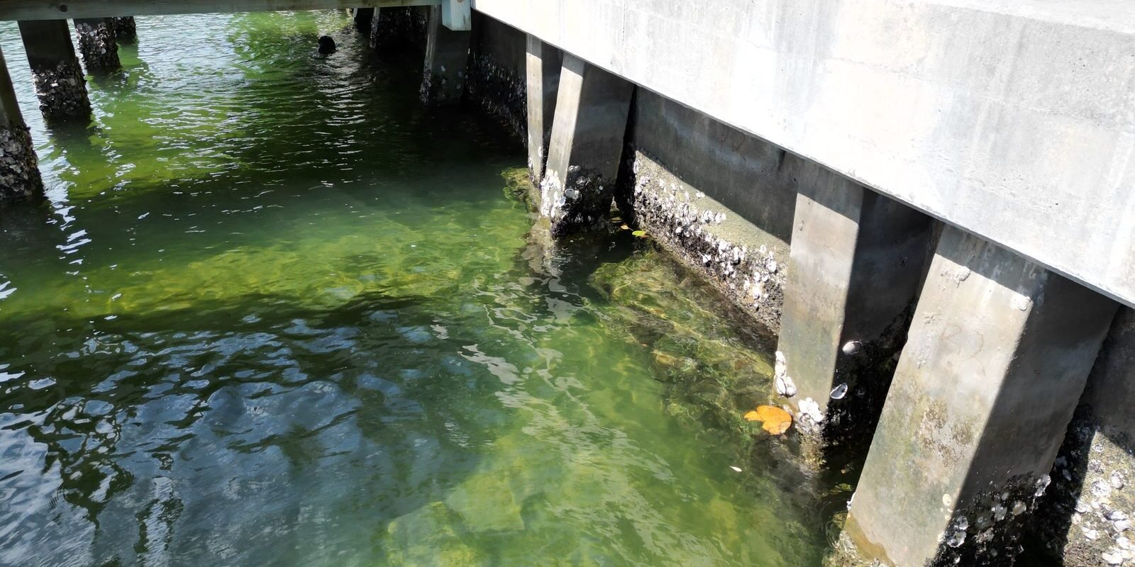 Who Owns DERM Permitting on Your Seawall Project?
