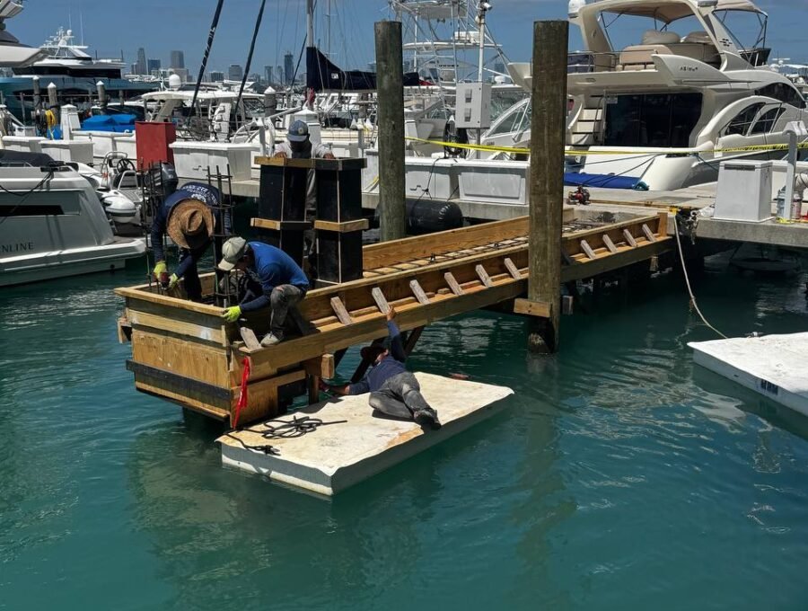Does Your Dock Piling Need Repair, a Wrap, or Replacement?