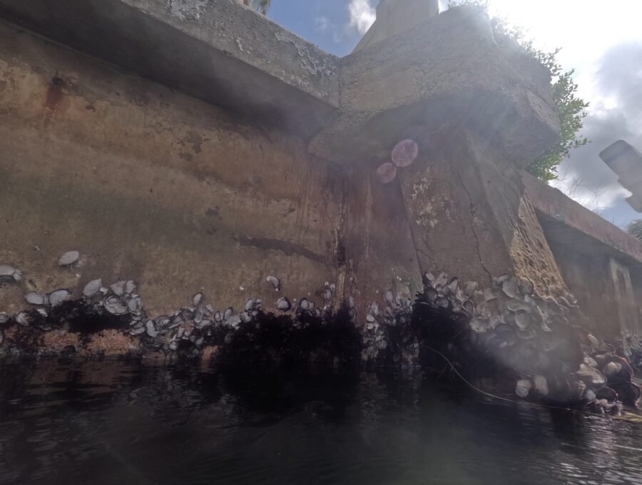 How to Document Storm Damage to Your Dock for Insurance