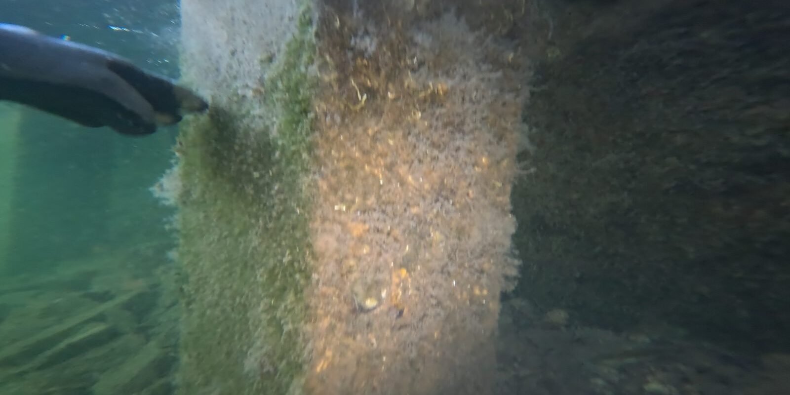 What King Tide Season Means for Your Miami Seawall