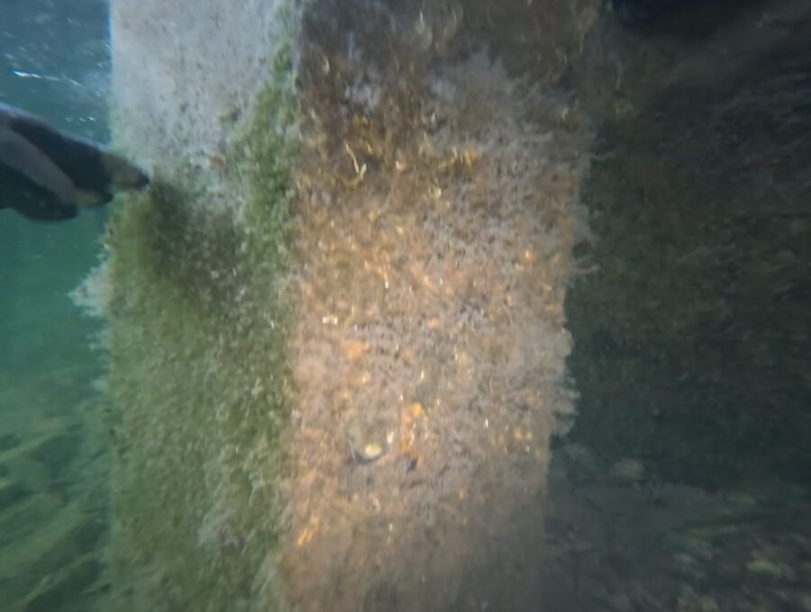 What King Tide Season Means for Your Miami Seawall