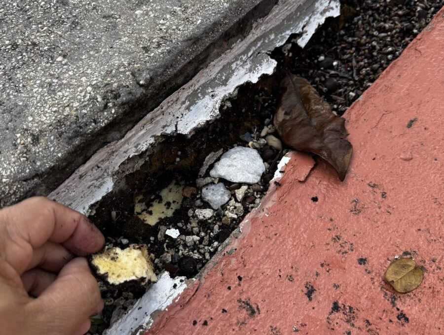Can You Raise a Seawall Cap? What Actually Works