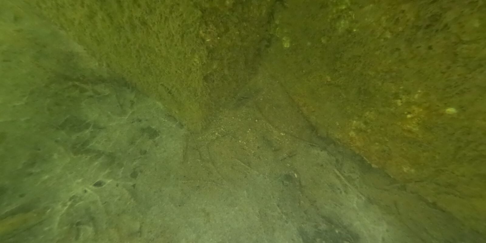 What Lies Below: Underwater Seawall Inspection Findings